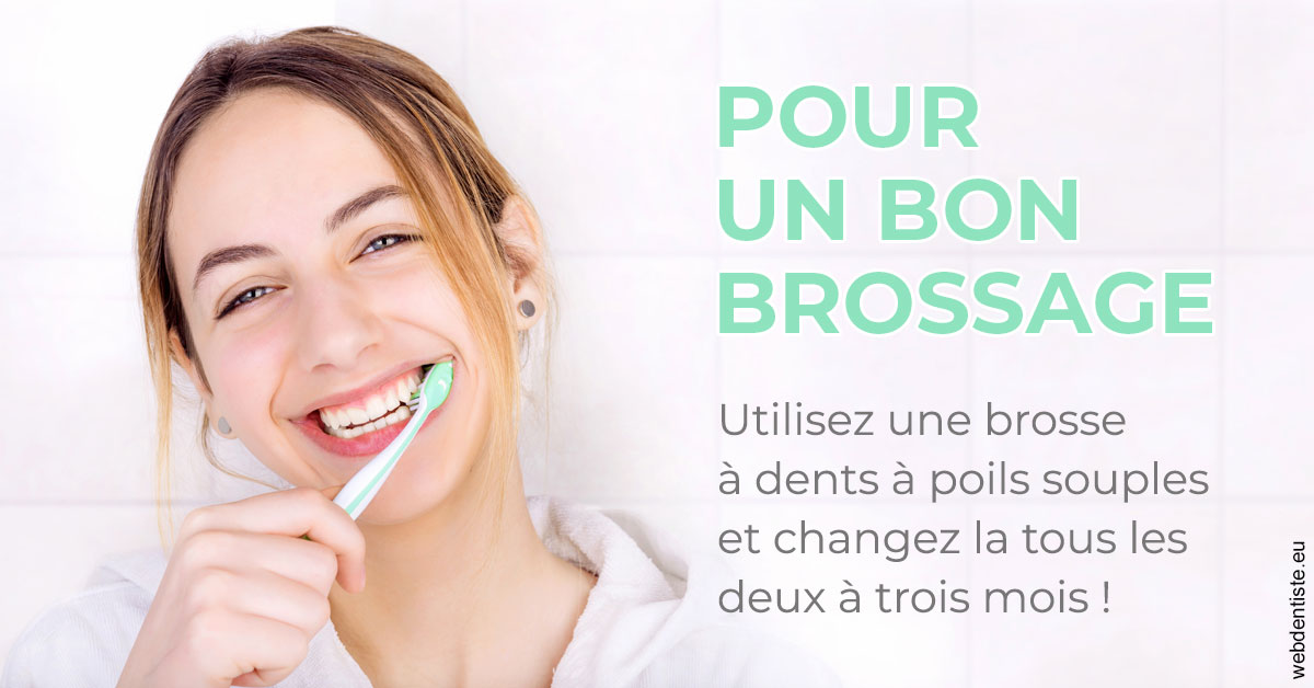 https://dr-francois-vergez.chirurgiens-dentistes.fr/Pour un bon brossage 2