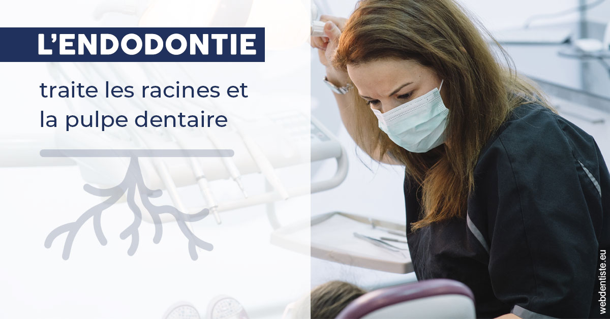 https://dr-francois-vergez.chirurgiens-dentistes.fr/L'endodontie 1