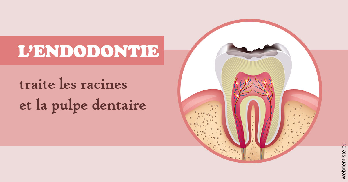 https://dr-francois-vergez.chirurgiens-dentistes.fr/L'endodontie 2