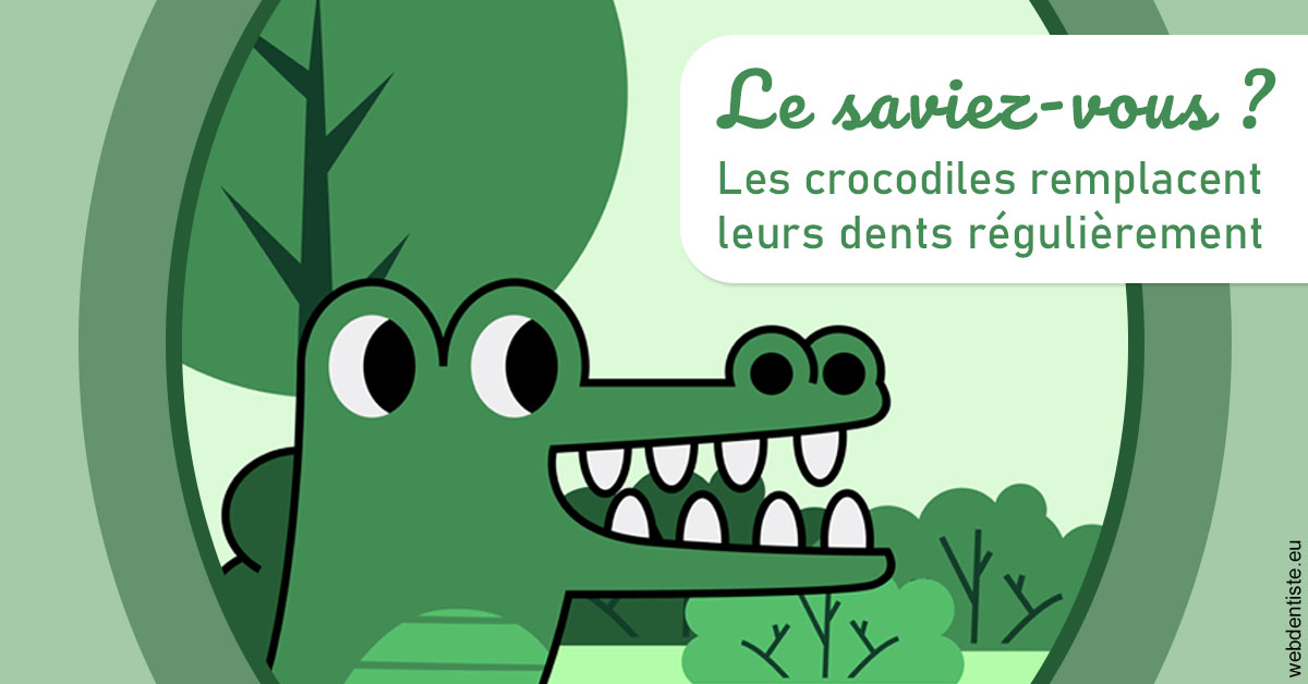 https://dr-francois-vergez.chirurgiens-dentistes.fr/Crocodiles 2