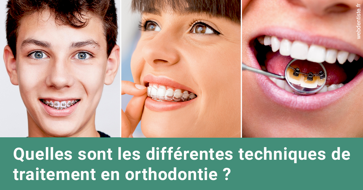 https://dr-francois-vergez.chirurgiens-dentistes.fr/Les différentes techniques de traitement 2