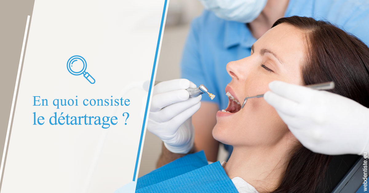 https://dr-francois-vergez.chirurgiens-dentistes.fr/En quoi consiste le détartrage